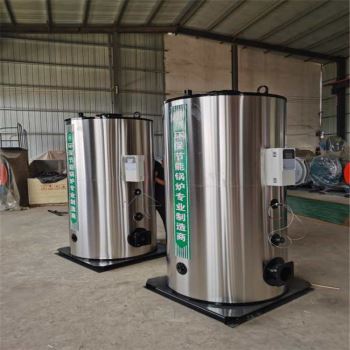 立式燃氣熱水鍋爐